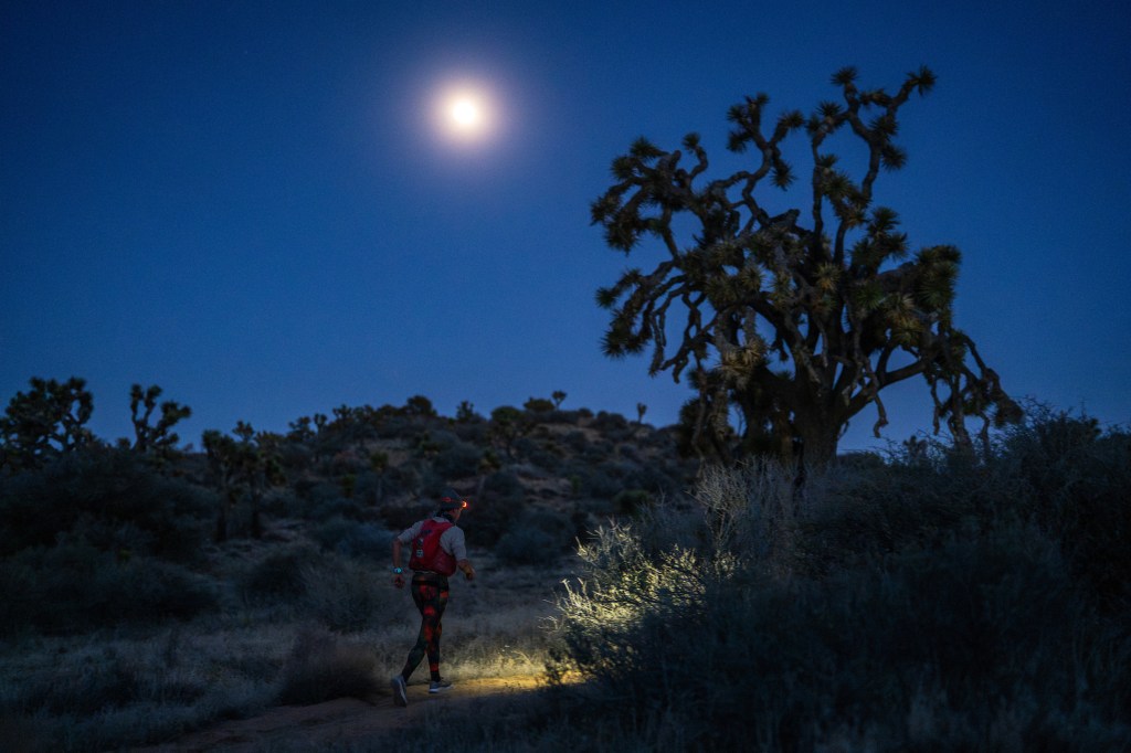 Joshua Tree Traverse in California