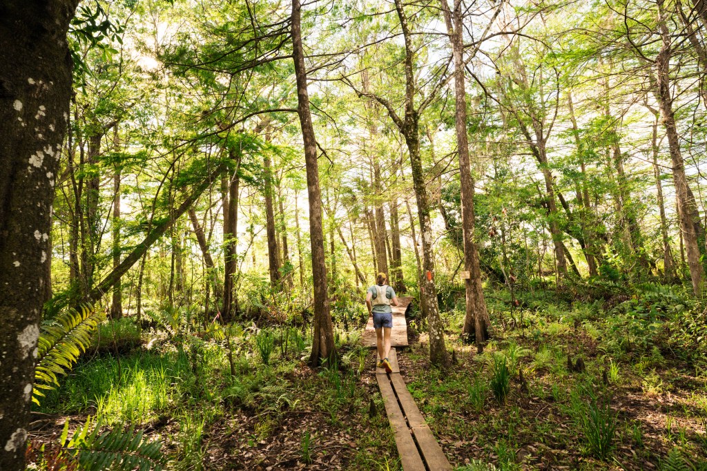 Ocean to Lake Hiking Trail in Florida