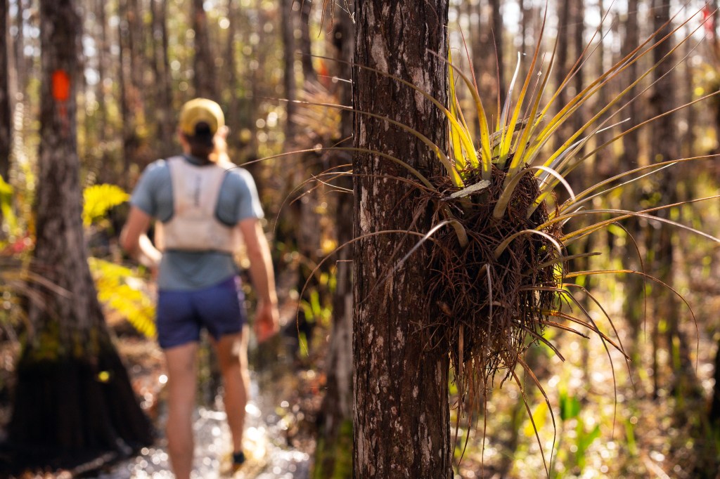 Ocean to Lake Hiking Trail